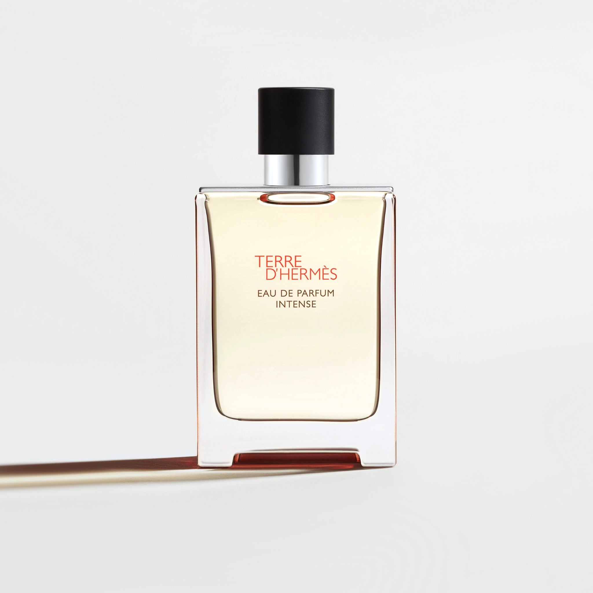 Hermès Terre d'Hermès Intense Men's Eau de Parfum Intense - 100ml – bottle